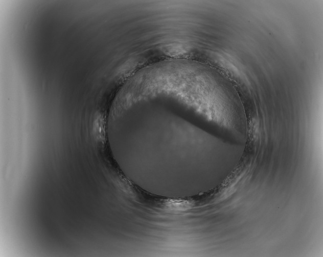 X0000094060234200710261232