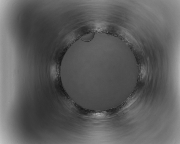 X0000094060236200710261232
