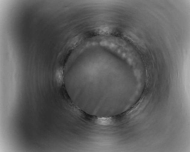 X0000094060240200710261232