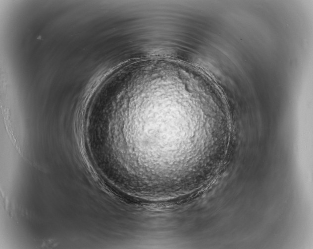 X0000094060241200710261231