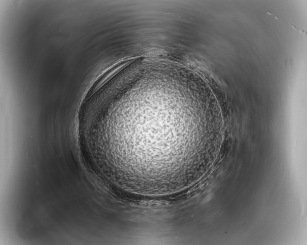 X0000094060242200710261231
