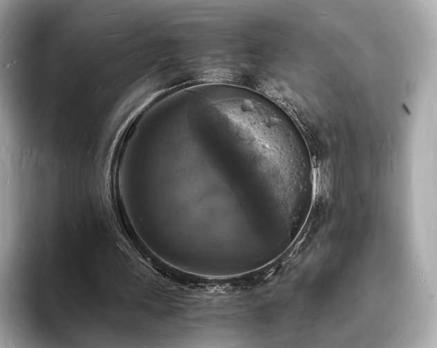 X0000094060243200710261231