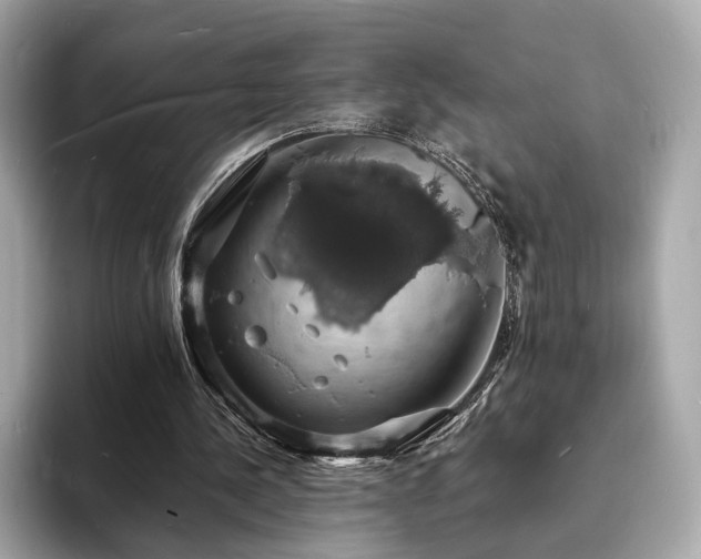 X0000094060244200710261231