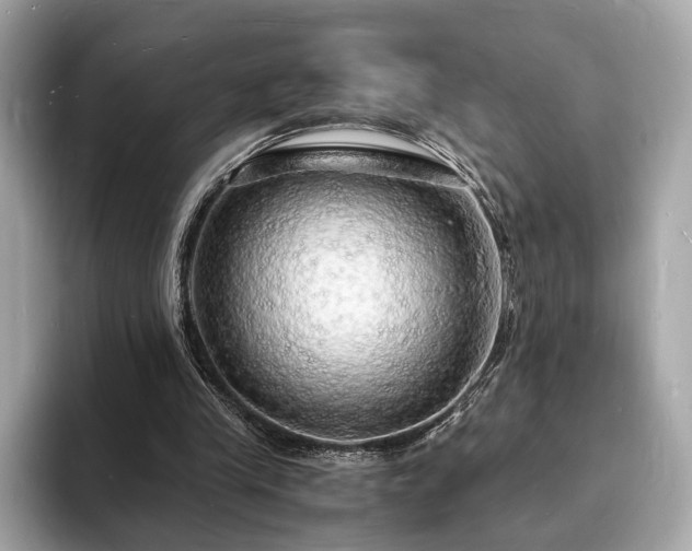 X0000094060245200710261231