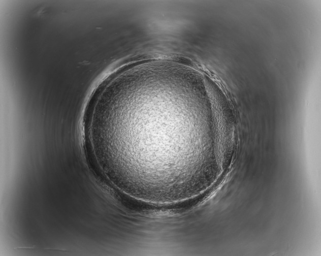X0000094060246200710261231