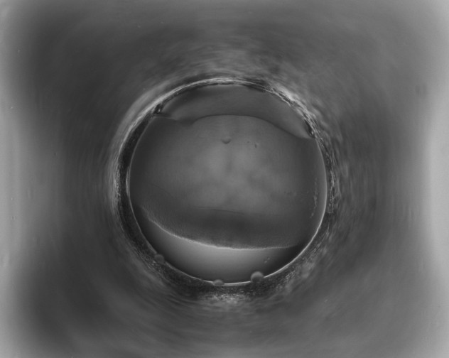 X0000094060247200710261231