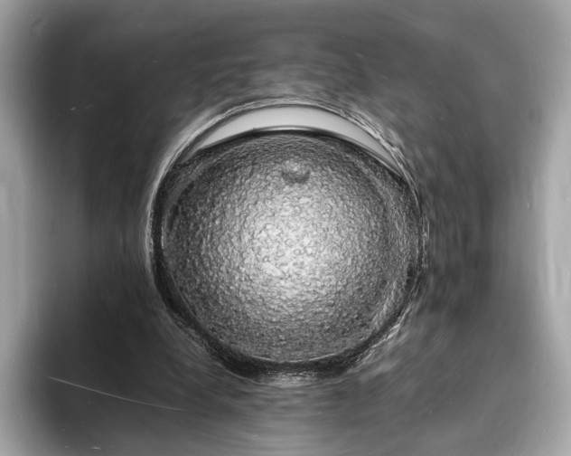 X0000094060248200710261231