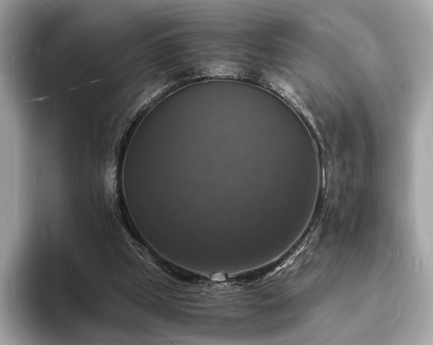 X0000094060249200710261231