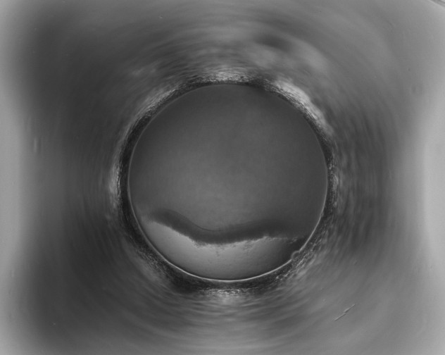 X0000094060250200710261231