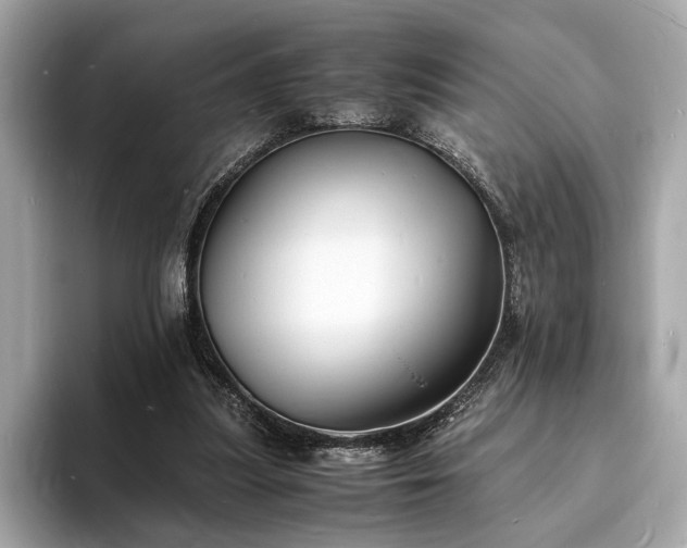 X0000094060251200710261231
