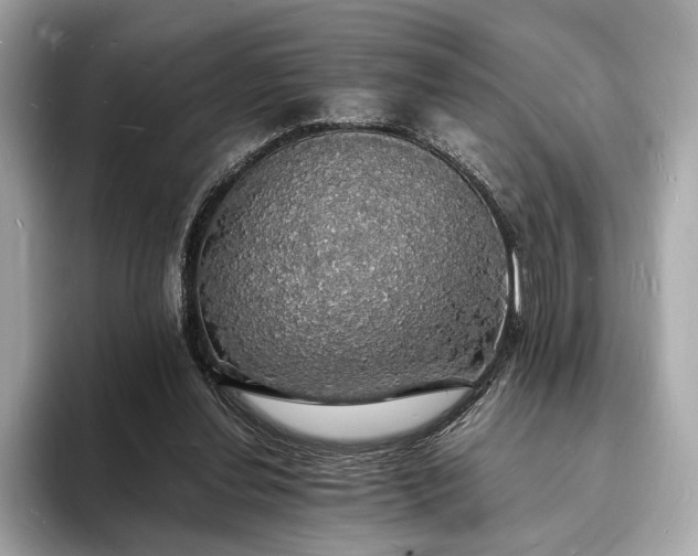 X0000094060252200710261231