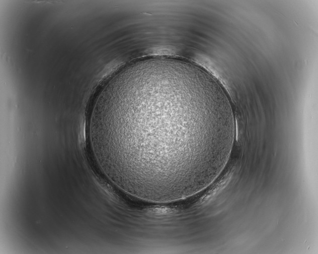 X0000094060253200710261231