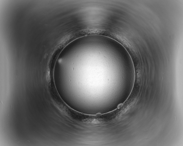 X0000094060254200710261231