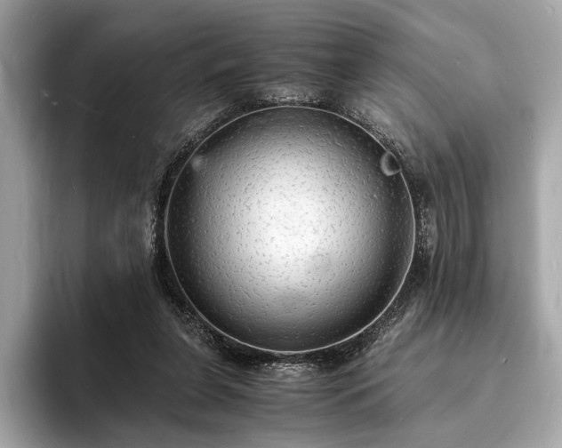 X0000094060255200710261231