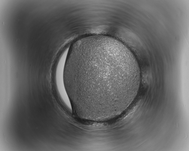 X0000094060256200710261231