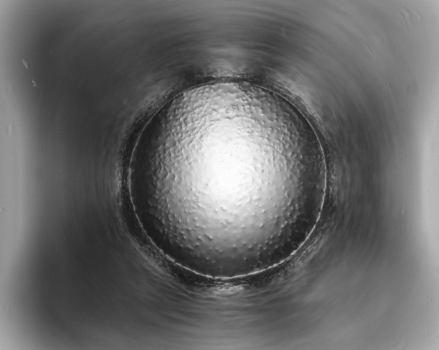 X0000094060257200710261231