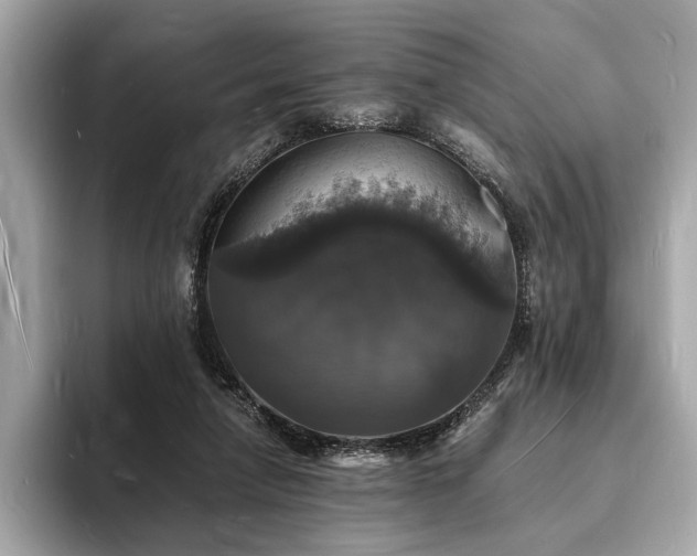 X0000094060258200710261231