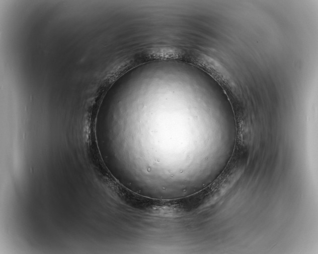 X0000094060259200710261231