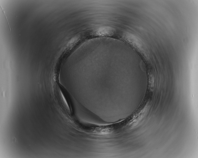X0000094060260200710261231