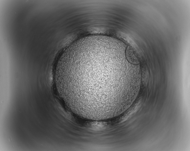 X0000094060261200710261232