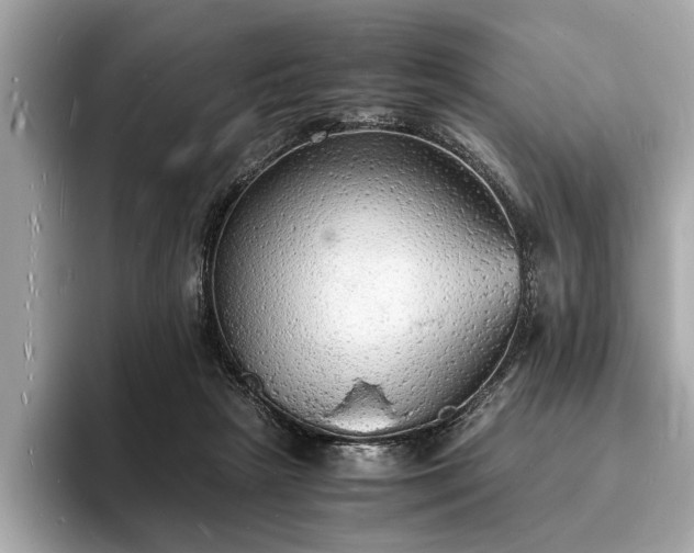 X0000094060265200710261232