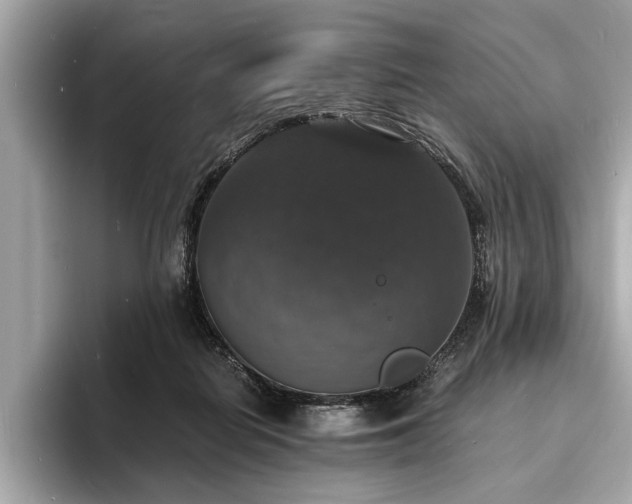 X0000094060266200710261232