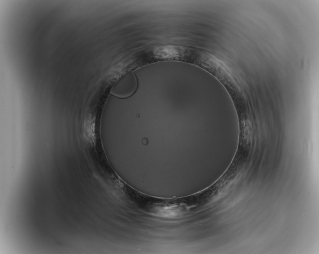 X0000094060267200710261232