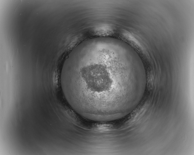 X0000094060268200710261232