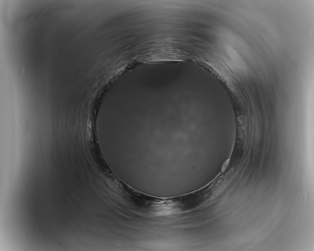 X0000094060269200710261232