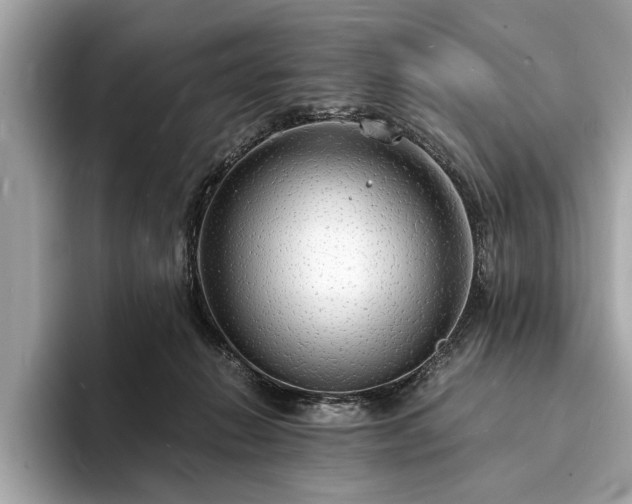 X0000094060270200710261232