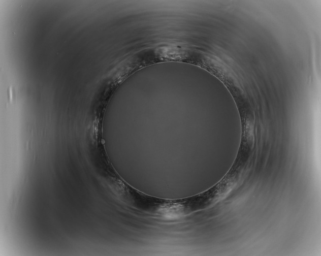 X0000094060271200710261232