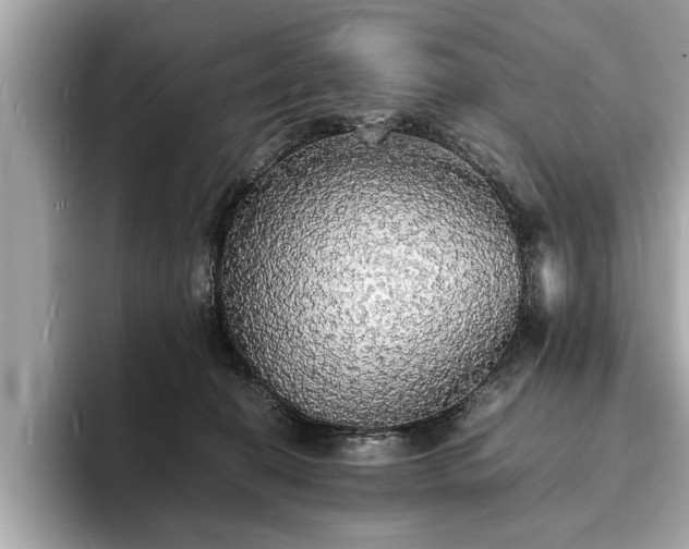 X0000094060274200710261232