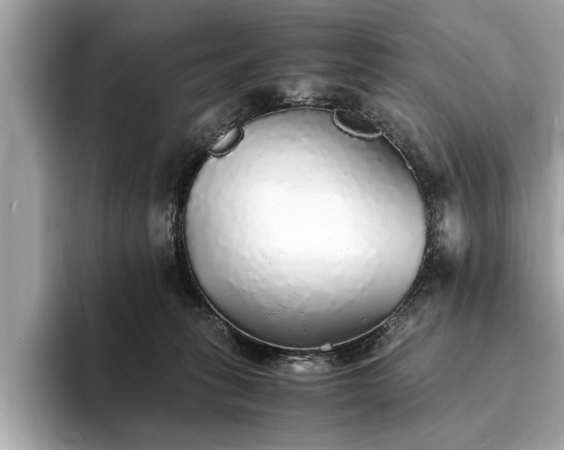 X0000094060275200710261232