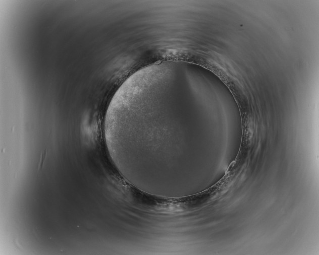 X0000094060276200710261232