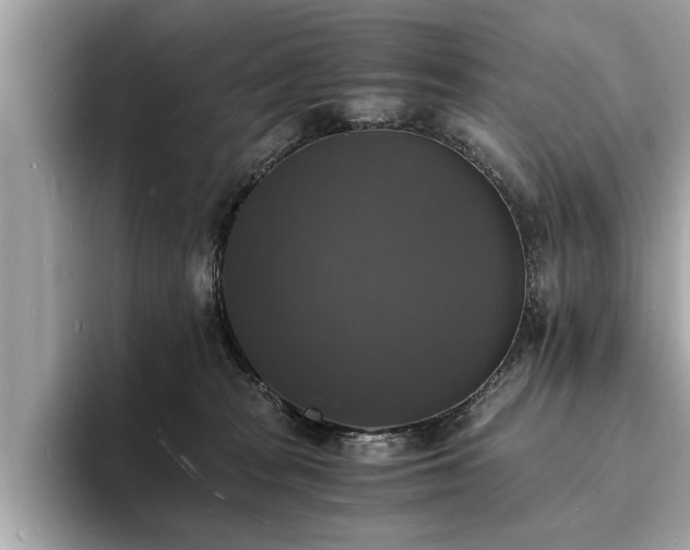 X0000094060277200710261232