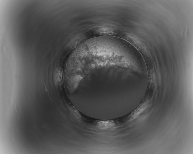 X0000094060281200710261232