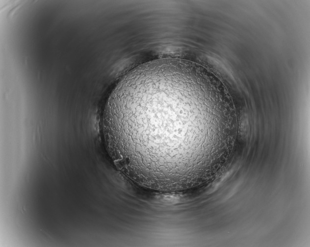 X0000094060282200710261232