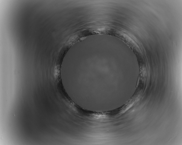 X0000094060284200710261232