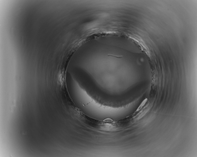 X0000094060285200710261232