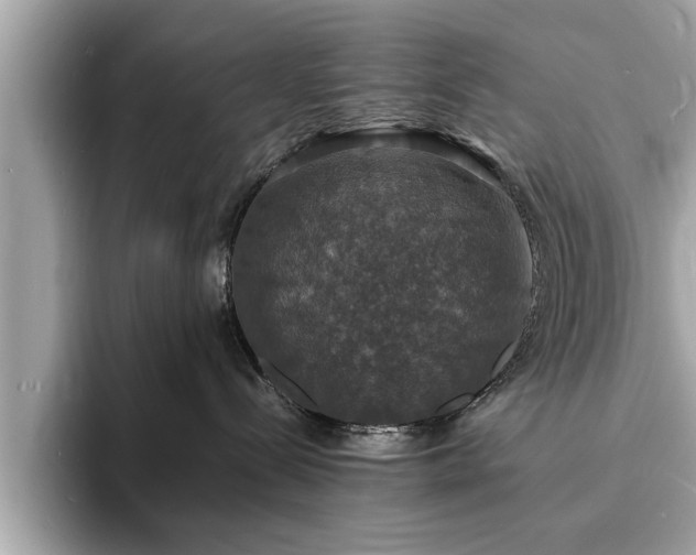 X0000094060288200710261232