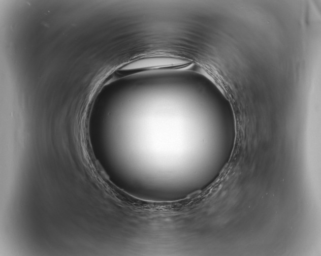 X0000094060289200710261231