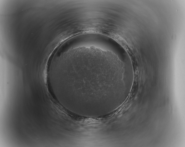 X0000094060290200710261231
