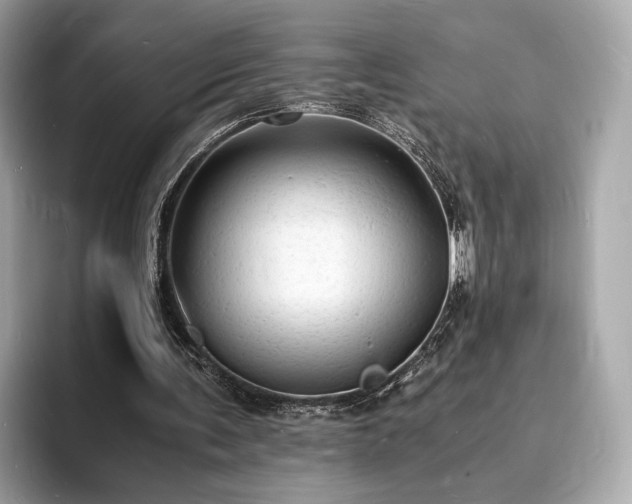 X0000094060291200710261231