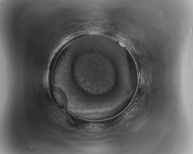 X0000094060292200710261231