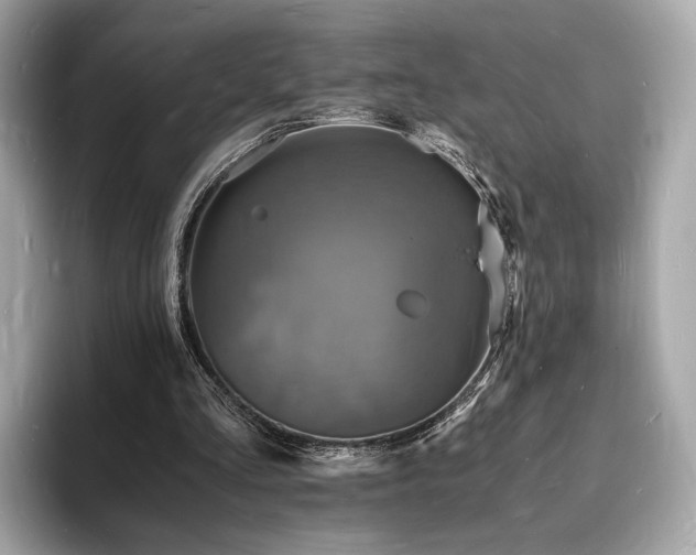 X0000094060293200710261231