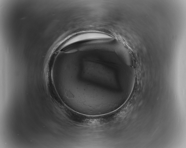 X0000094060295200710261231