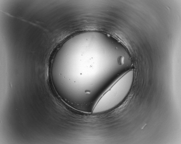 X0000094060301200710261231
