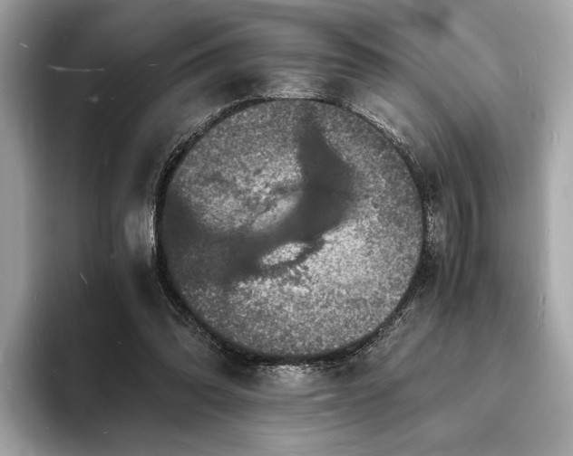 X0000094060302200710261231