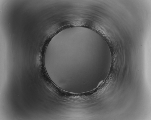 X0000094060303200710261231