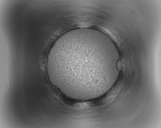 X0000094060307200710261231